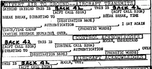 Skybird Sample Command