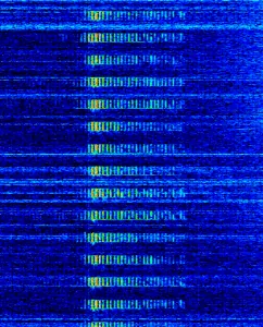 S28 / The Buzzer Waterfall Image